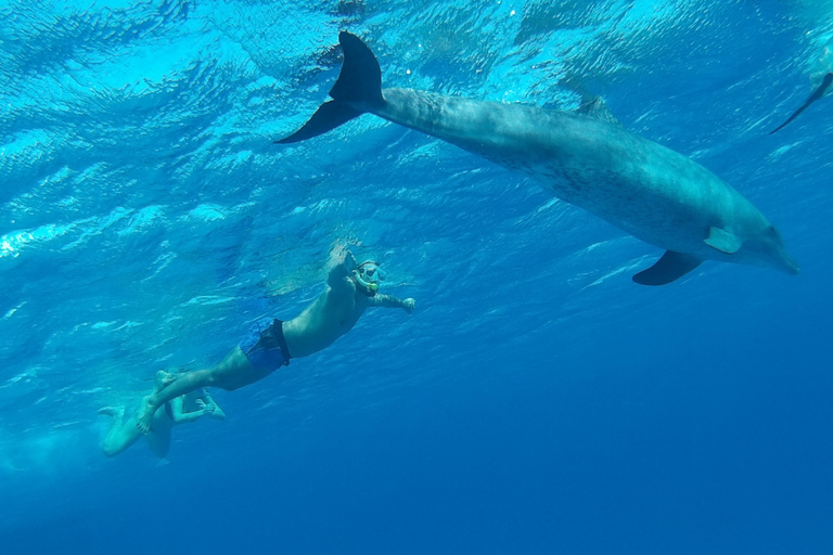 Hurghada:Immersioni e snorkeling di lusso con isola/pranzo/massaggioTour da Hurghada