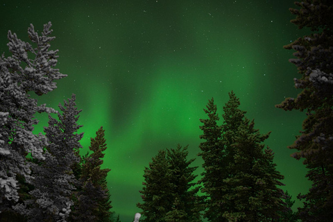 Levi: Family friendly Snow Village visit & Northern lights!