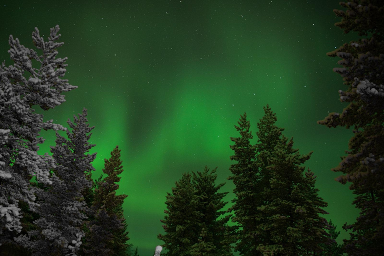 Levi: Family friendly Snow Village visit & Northern lights!