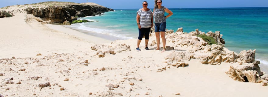 Visite du sud de Boa Vista : Santa Monica, Turtle Bay et falaises