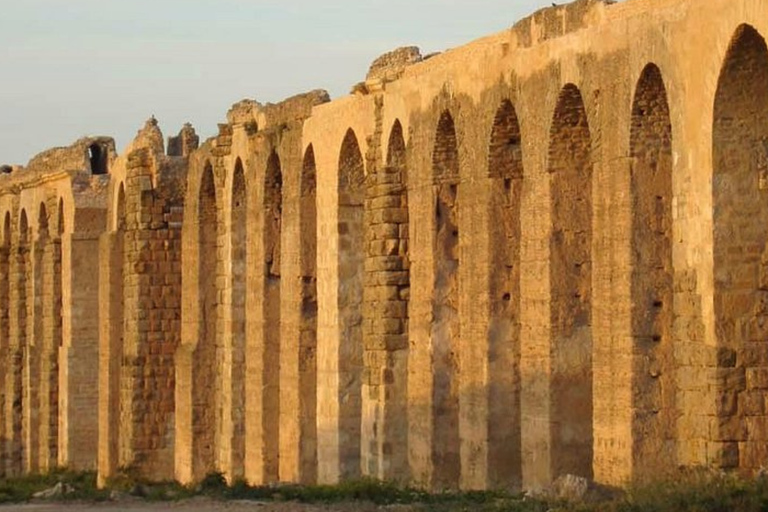 Hammamet: Oudhna, Zaghouan, and Berber Villages Day Trip