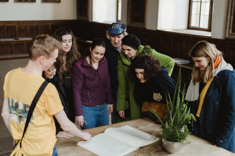 Osnabrück: Stadhuis en oude binnenstad wandeltour Activiteit