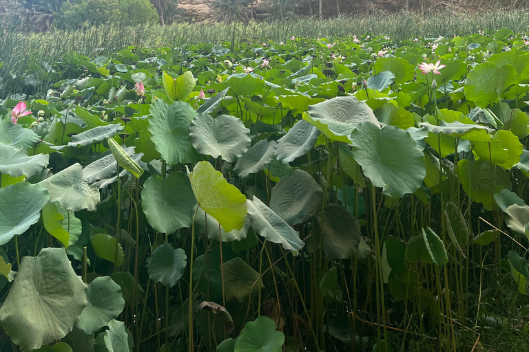 Muscat: Wadi Shab Hike and Bimmah Sinkhole Tour with Lunch Muscat: Wadi Shab Hike and Bimmah Sinkhole Tour with Lunch