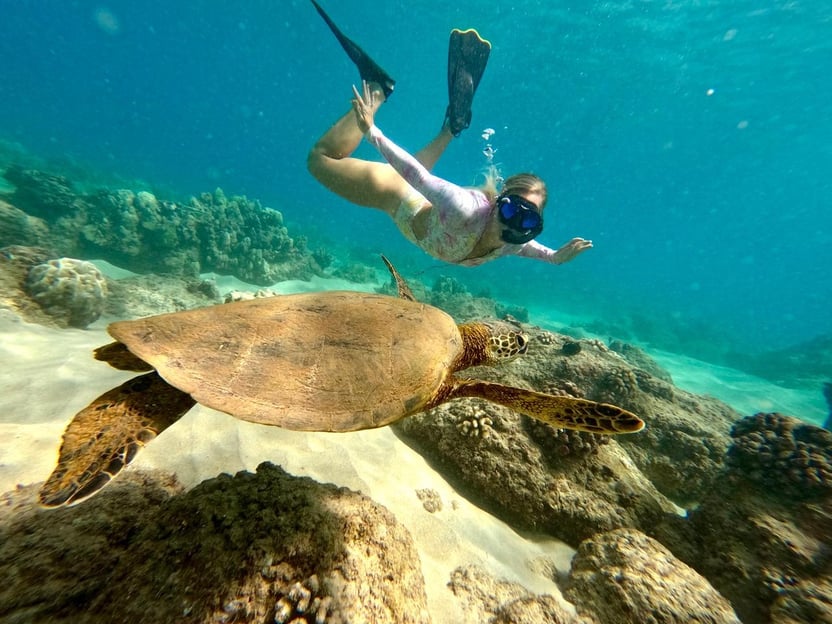 Hilo: Snorkel con tortugas y vídeos gratuitos