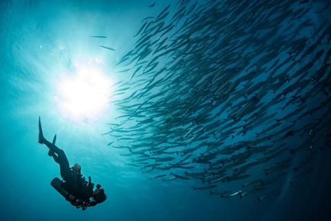 Similan 2Day-1Night Onboard MV Koon Scuba Dive or Non-Dive From Phuket Similan MV Koon Scuba with Dive - Sharing Room
