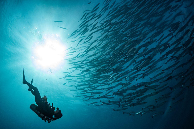 Similan 2Day-1Night Onboard MV Koon Scuba Dive or Non-Dive From Phuket Similan MV Koon Scuba with Dive - Sharing Room