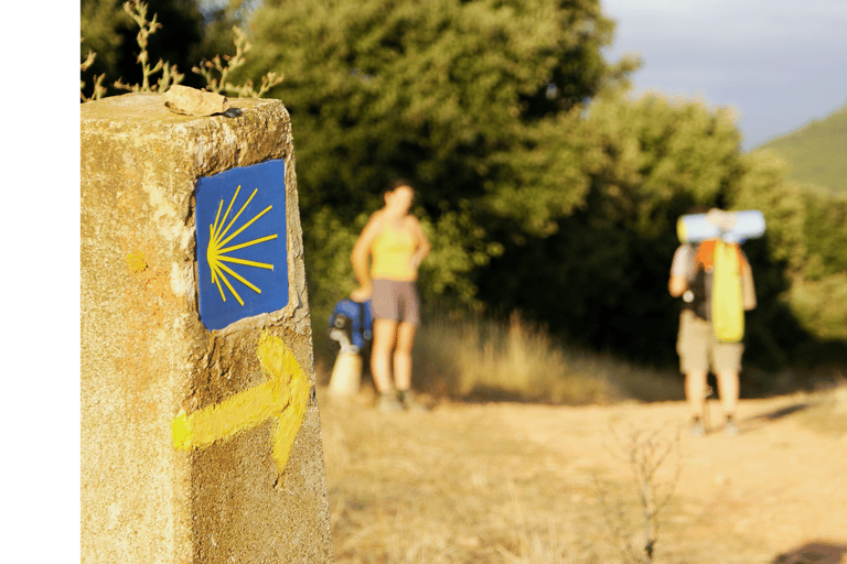 De Tui: Excursão guiada de 9 dias a pé pelo Caminho de Santiago