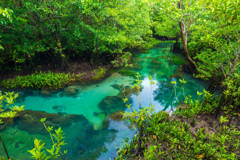 Ao Nang: Kayak alla piscina di cristallo, ATV e tour della fattoria degli ananasGiro in ATV di 30 minuti