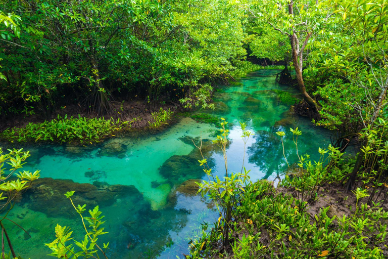 Ao Nang: Kayak alla piscina di cristallo, ATV e tour della fattoria degli ananasGiro in ATV di 45 minuti