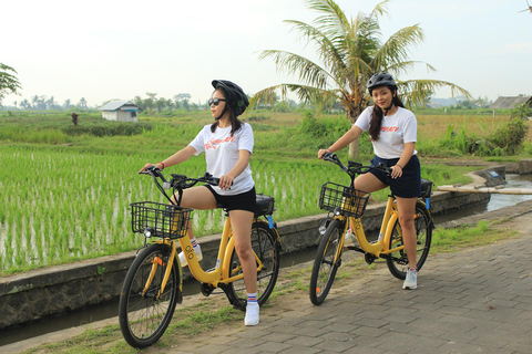 Ubud: Electric Bike, Jungle UTV & visit Chocolate factory Ebike Riding Meet In Meeting point include Lunch