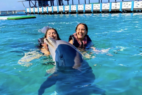 Cartagena: Rosario Oceanarium, Snorkel & Swim with Dolphins Cartagena: Rosario Islands Tour with Oceanarium & Snorkeling