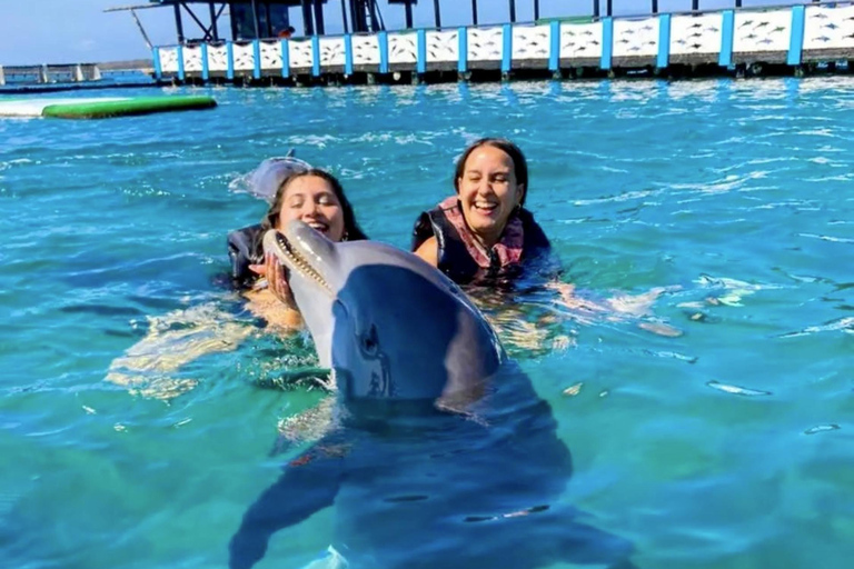 Cartagena: Rosario Oceanarium, Snorkel & Swim with Dolphins Cartagena: Rosario Islands Tour with Oceanarium & Snorkeling