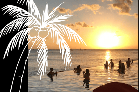 Waikiki Walking Tour (1 hour)