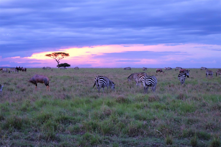 2-Day Tsavo East National Park Private Safari