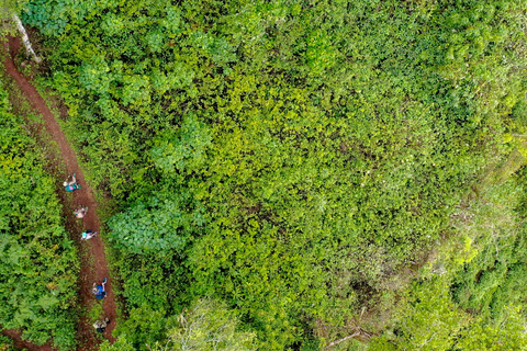 From Kampala/Entebbe: 3-Day Sipi Falls & Pian Upe Safari
