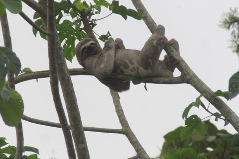 Puerto Maldonado: Tambopata Expeditions 4 Days (expeditions) Puerto Maldonado: Tambopata Expeditions 4 days (expeditions)