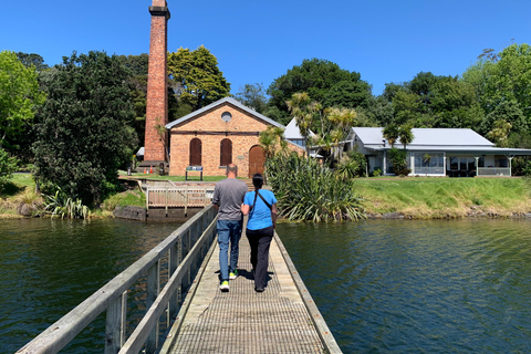 Auckland Volcanoes Full-Day Small Group Tour