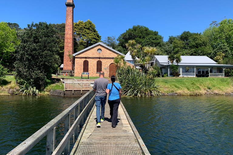 Auckland Volcanoes Full-Day Small Group Tour