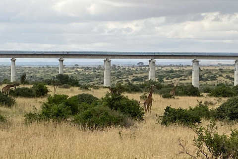 Nairobi National Park: Early Morning or afternoon adventure Early morning game drive in a Landcruiser JEEP