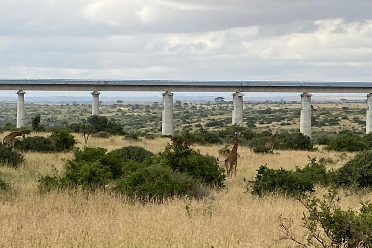 Nairobi National Park: Early Morning or afternoon adventure Early morning game drive in a Landcruiser JEEP
