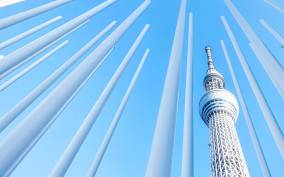 Tokyo: SkyTree Tembo Deck Entry with Galleria Options