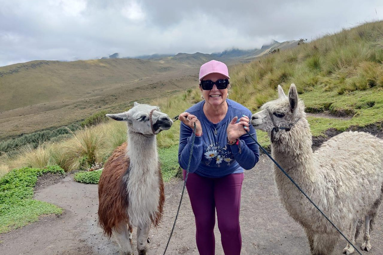Quito: Pichincha Volcano Cable Car and Hiking Tour Rucu Pichincha Summit