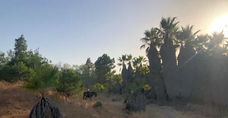 Horseback riding