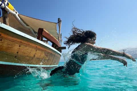 Zanzibar: Mnemba Dolphin, Jozani Forest & Turtle Sanctuary Private Tour without Hotel transfer