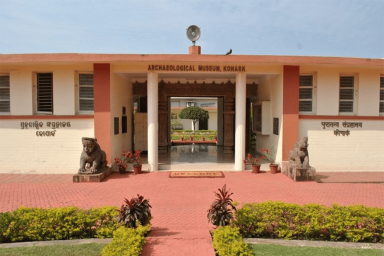 Desde Delhi: excursión de 1 día a Raipur y Rajim con vuelos