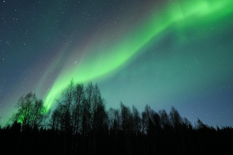Rovaniemi: Coffee under Northern Lights & Professional Photo