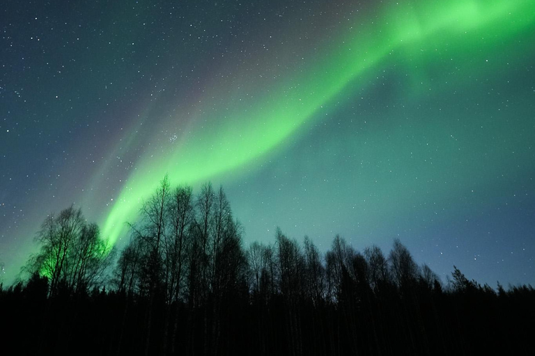 Rovaniemi: Coffee under Northern Lights & Professional Photo