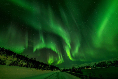 Tromsø: Excursión a la Aurora Boreal con fotos y trajes de abrigo