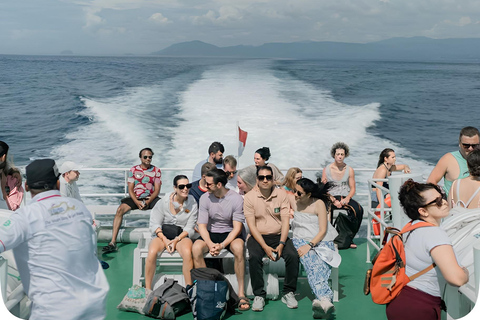 From Bali: Gili Island Snorkeling Day Trip with Hotel Pickup