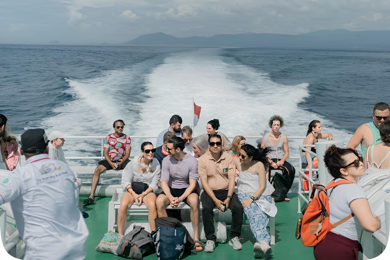 From Bali: Gili Island Snorkeling Day Trip with Hotel Pickup