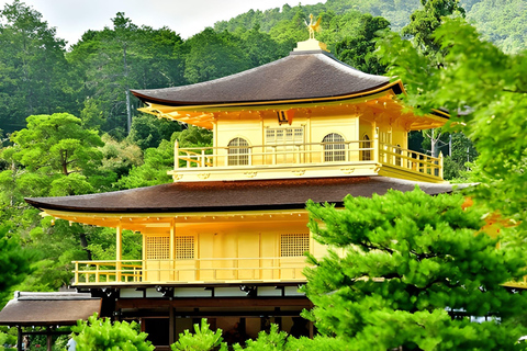 Private Kyoto Sightseeing Tour (Green Number Plates)