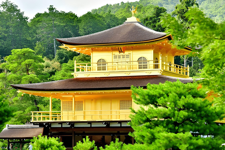 Private Kyoto Sightseeing Tour (Green Number Plates)