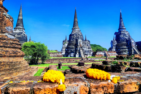Bangkok to Ayutthaya, Big Buddha Monkey Temple & Hidden Cafe