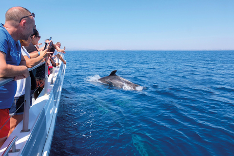 Portimão:Dolphins & Benagil Caves Catamaran-Marine Biologist