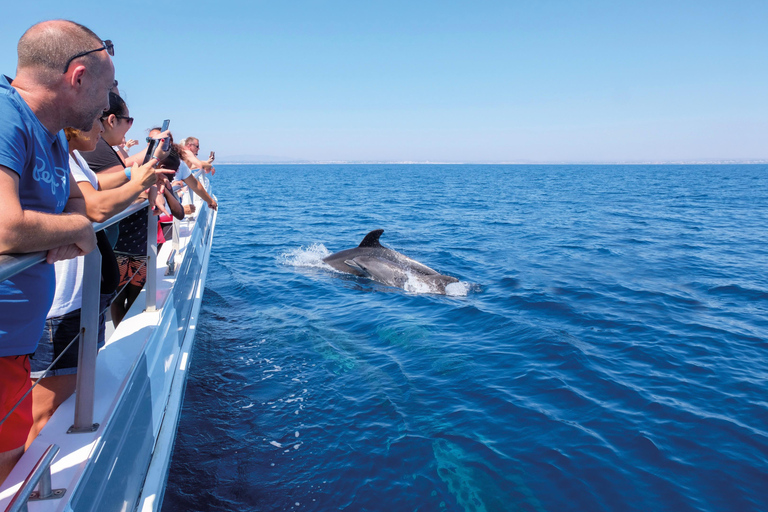 Portimão:Dolphins & Benagil Caves Catamaran-Marine Biologist