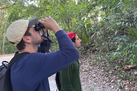 Tikal Sunset, Archeological focus and Wildlife Spotting From San Ignacio Belize, Small Group