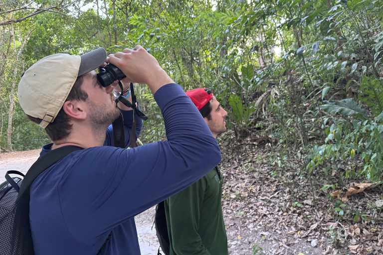Tikal Sunset, Archeological focus and Wildlife Spotting From San Ignacio Belize, Small Group