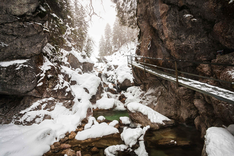 From Banff Guided Johnston Canyon Night Walk and Stargazing Banff: Guided Johnston Canyon Night Walk and Stargazing
