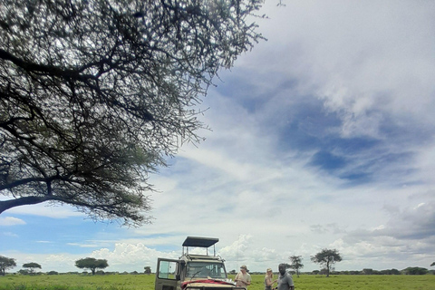 Zanzibar: 3-Day Gentle Giants Tarangire Safari with Flights