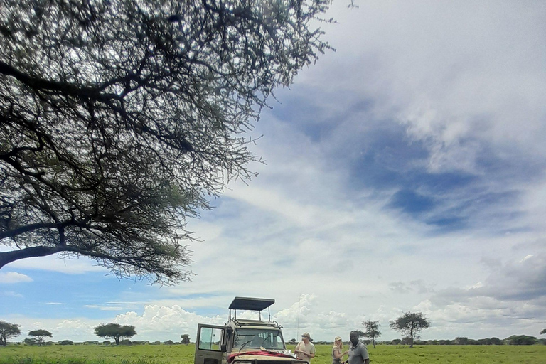 Zanzibar: 3-Day Gentle Giants Tarangire Safari with Flights