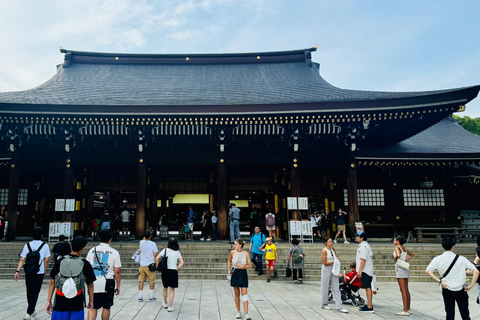 Excursion privée d&#039;une journée à Tokyo avec chauffeur/guide parlant anglais