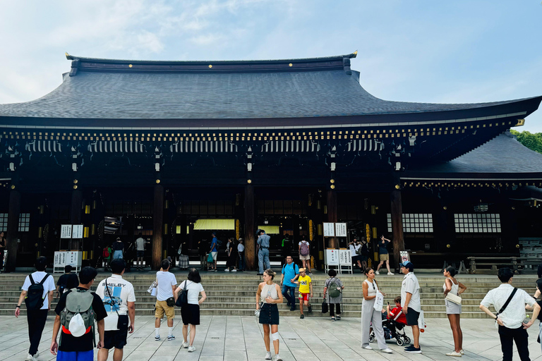 Excursión privada de un día a Tokio con conductor/guía de habla inglesa