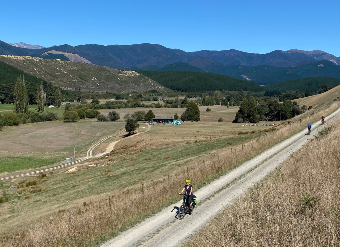 Nelson til Mapua: Heldags cykeleventyr med egen guide