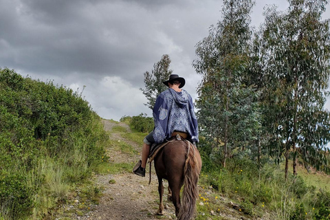 Halfdaagse tour te paard naar de Tempel van de Maan