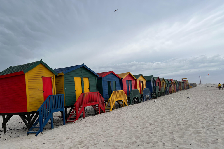Cape of Good Hope and Penguins Full-Day Private Tour Private tour: Cape of Good Hope and Penguins Full-Day Tour