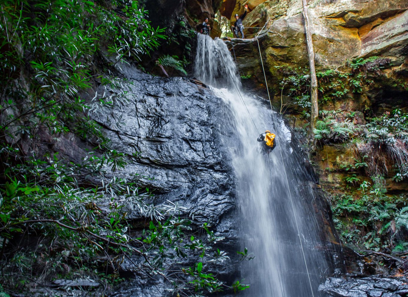 Blue Mountains: Abseiling og canyoning-oplevelse